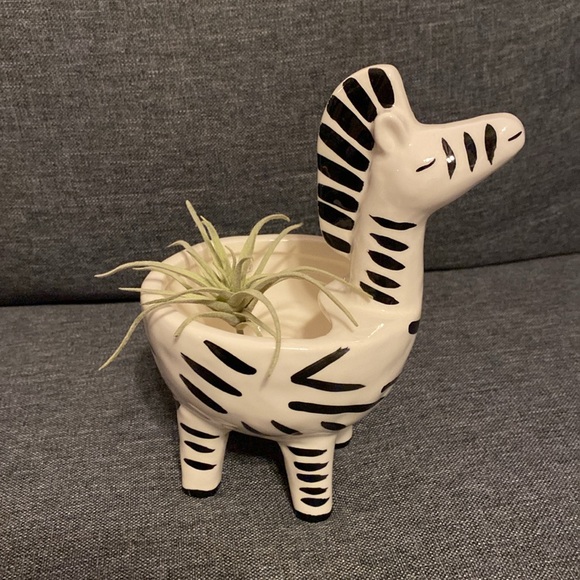 Zebra Potted Plant Holder - Picture 1 of 12